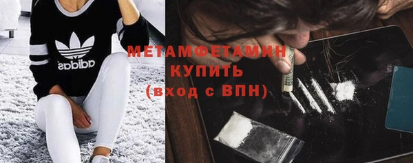 прущие грибы Волгодонск