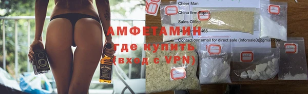 прущие грибы Волгодонск