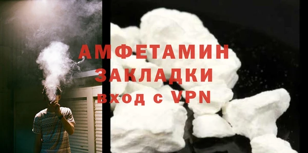 прущие грибы Волгодонск