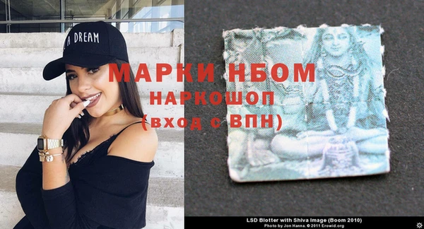 прущие грибы Волгодонск