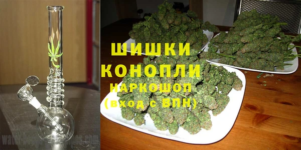 прущие грибы Волгодонск