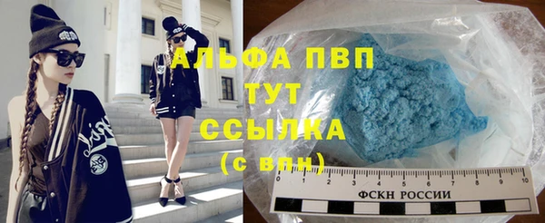 прущие грибы Волгодонск