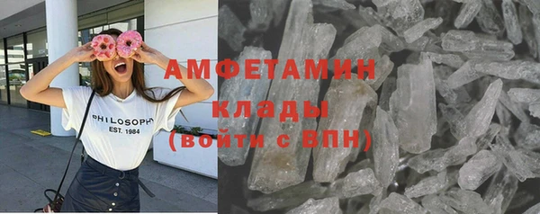 прущие грибы Волгодонск