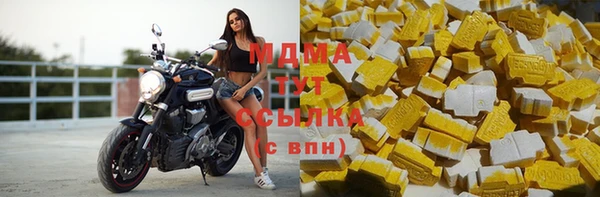 прущие грибы Волгодонск